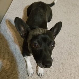 Meet your Posher, Kristy